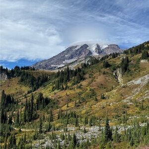 Meet your Posher, Ellie